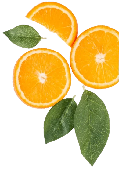 Fresh orange slices